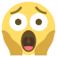:1f631: